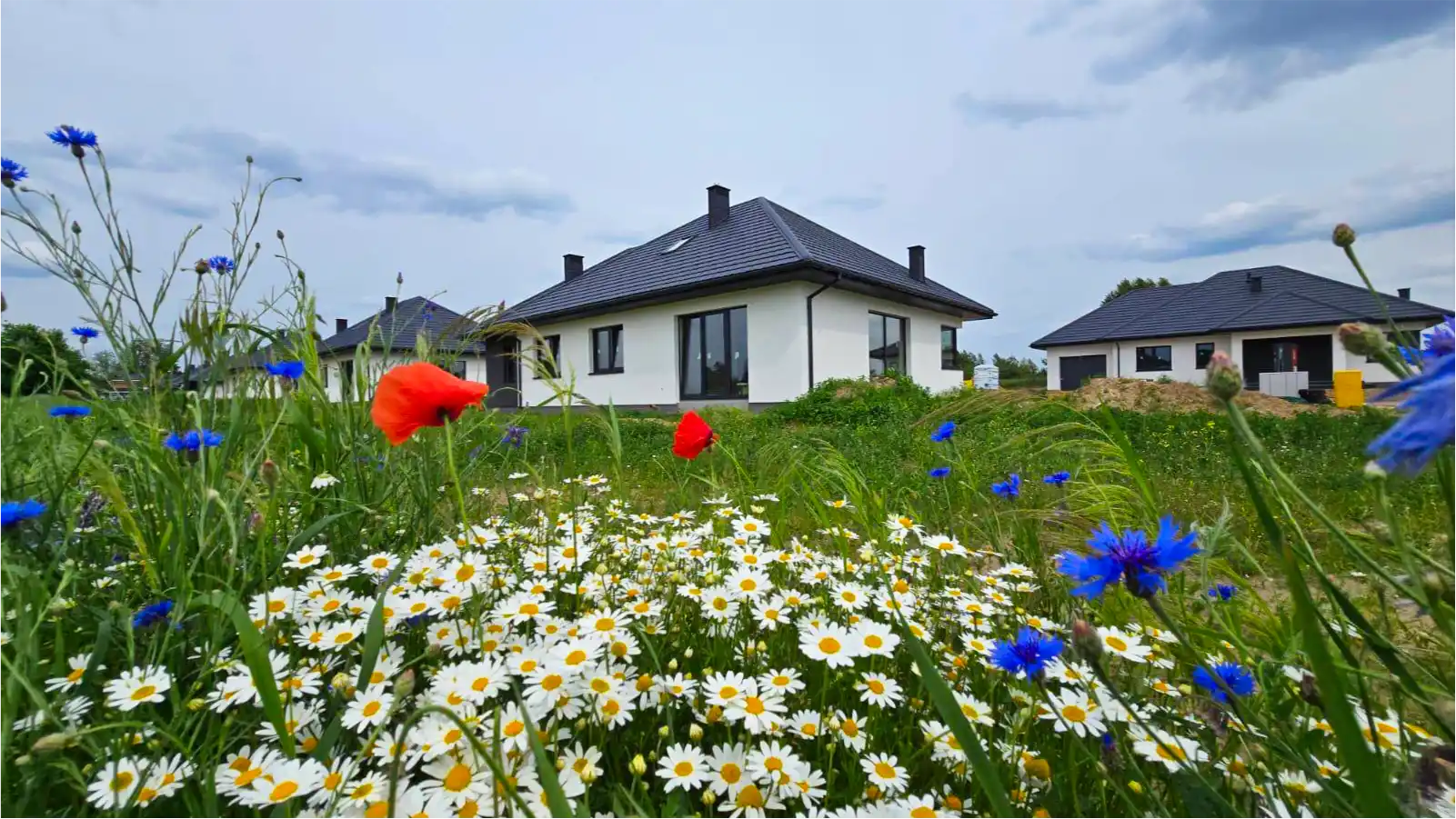 Osiedle Dosin - Tsój wymarzony dom w cichej okolicy