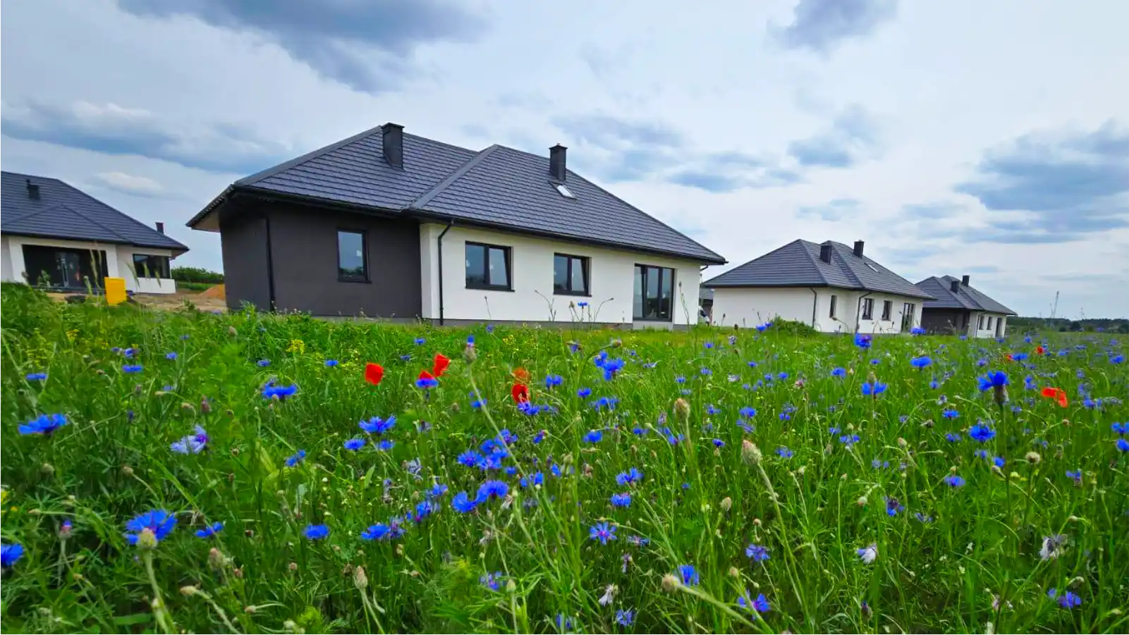 Osiedle Dosin - Tsój wymarzony dom w cichej okolicy