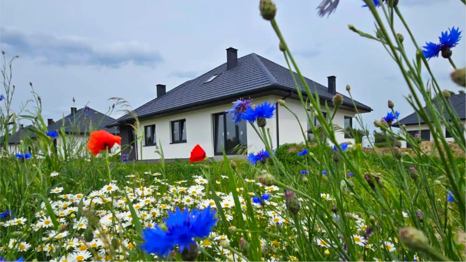Osiedle Dosin - Tsój wymarzony dom w cichej okolicy